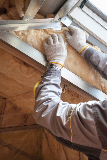 Best Cellulose Insulation in Paradise, NV