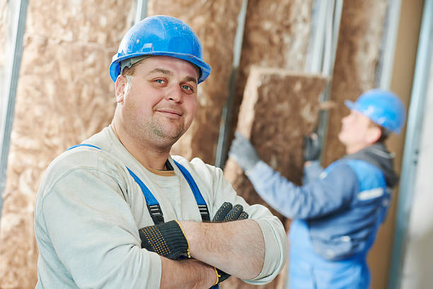 Best Residential Insulation in Paradise, NV