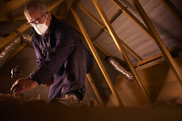Best DIY Insulation Kits and Guidance in Paradise, NV
